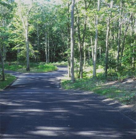 0 Ferro Way unit 71069524, Tisbury, MA 02568 - photo 6