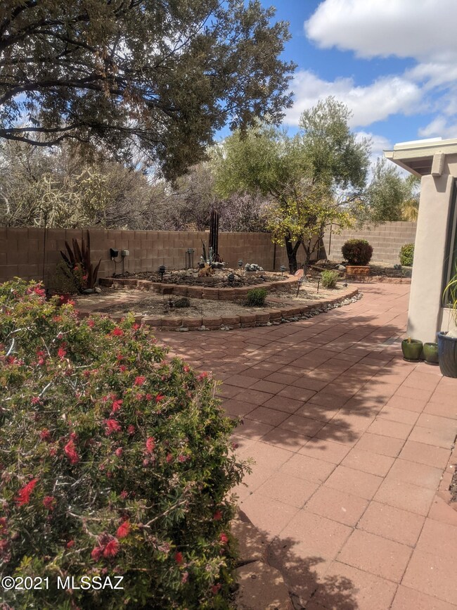 Backyard Patio