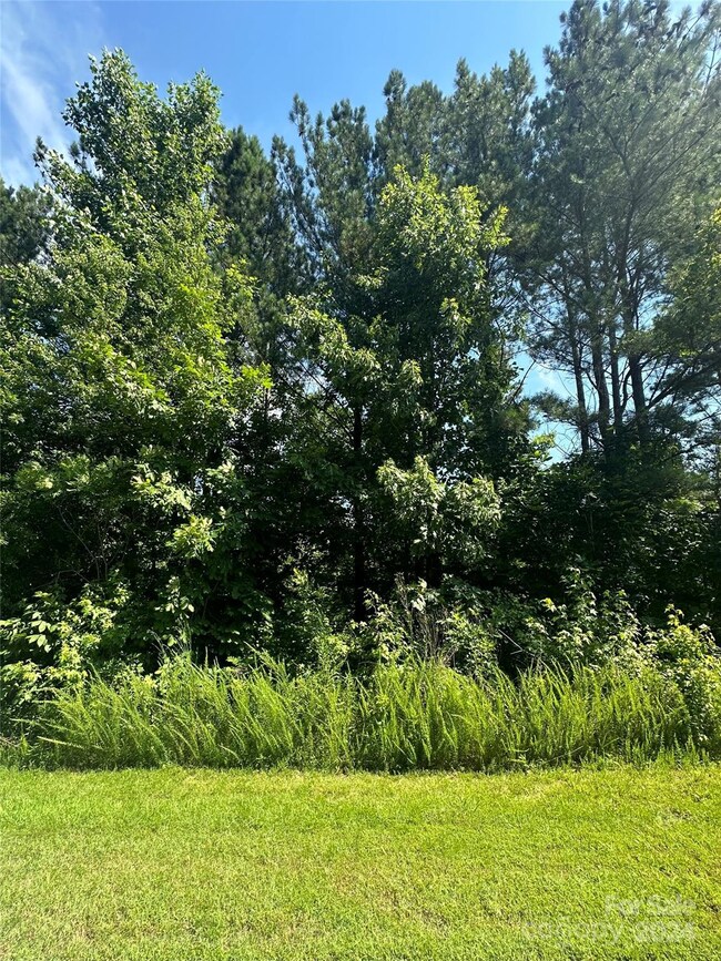 5135 Star Magnolia Ct, Clover, SC 29710 - photo 6