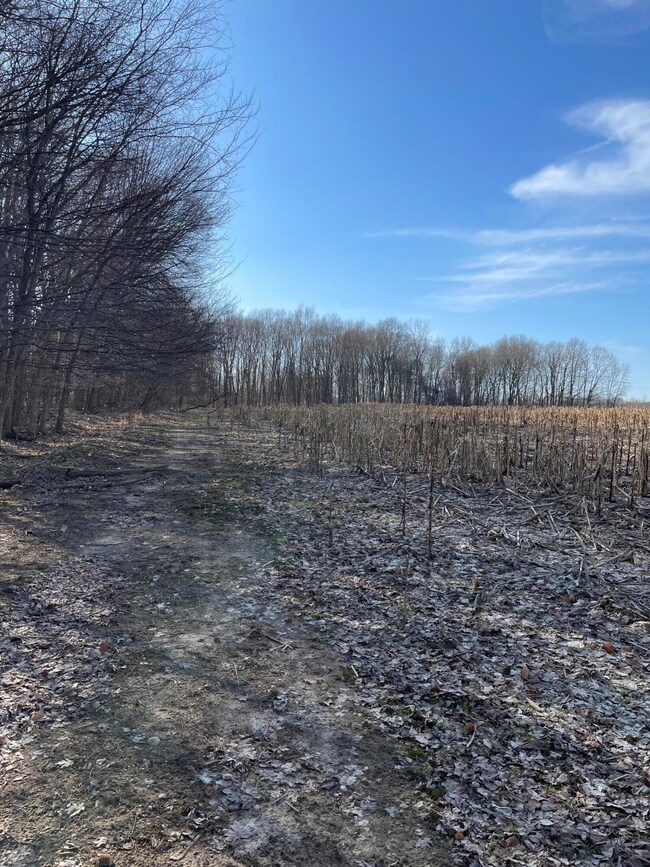 0 48th Ave unit 25050708, Lawrence, MI 49064 - photo 6