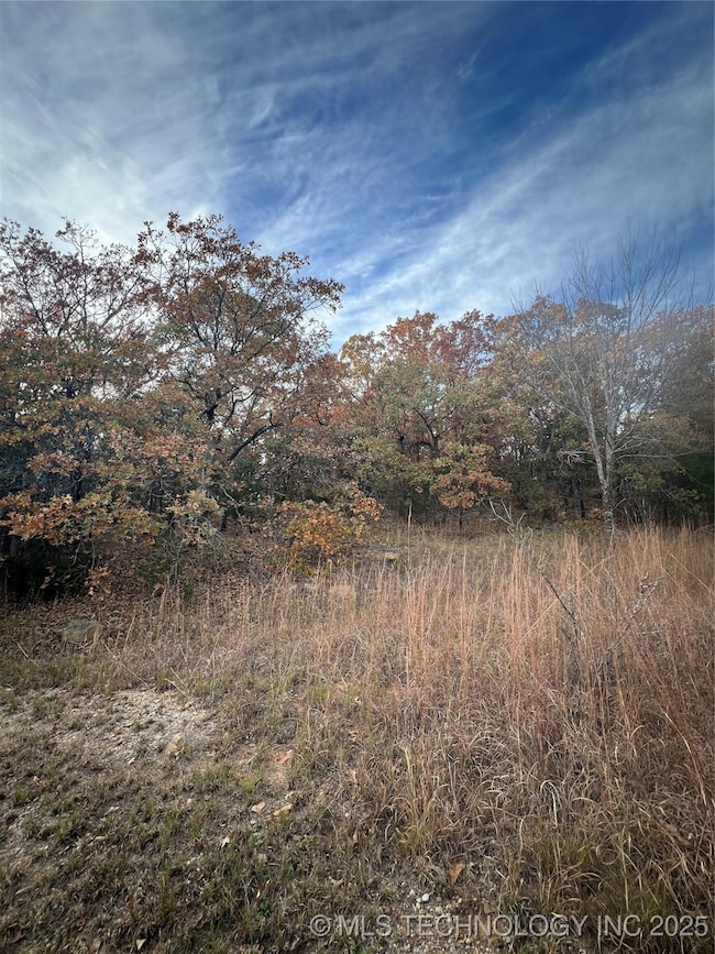 0023 Van Gogh Rd, Sand Springs, OK 74063 - photo 3