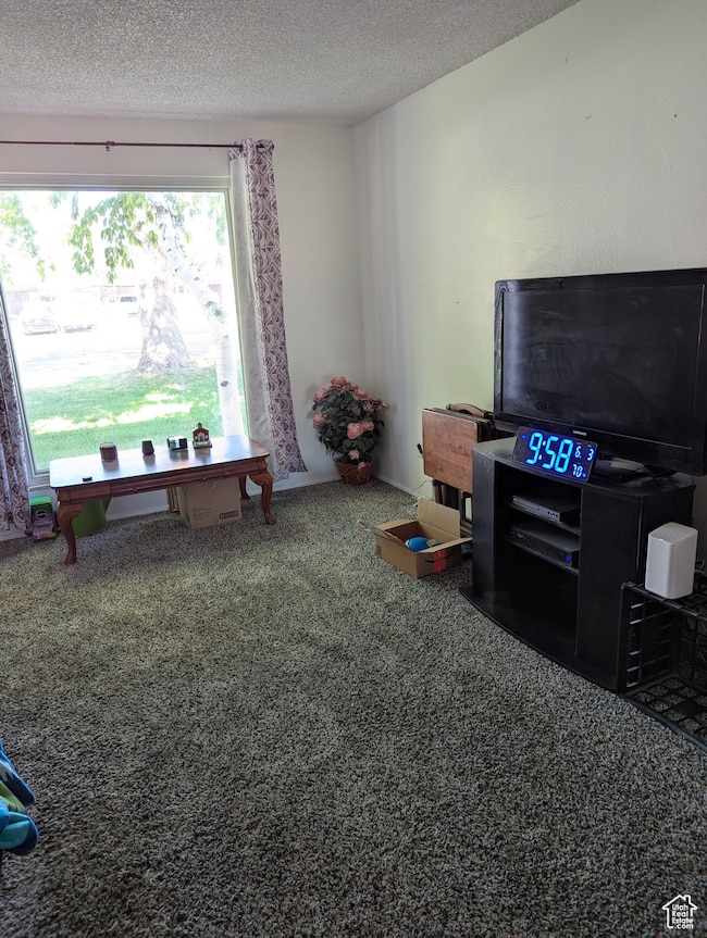 Game room with carpet floors and a textured ceiling