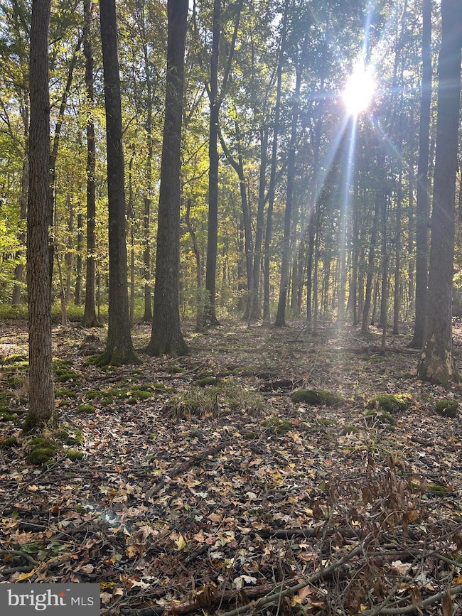 0 Georgetown Rd SE unit MDKE2005844, Chestertown, MD 21620 - photo 4