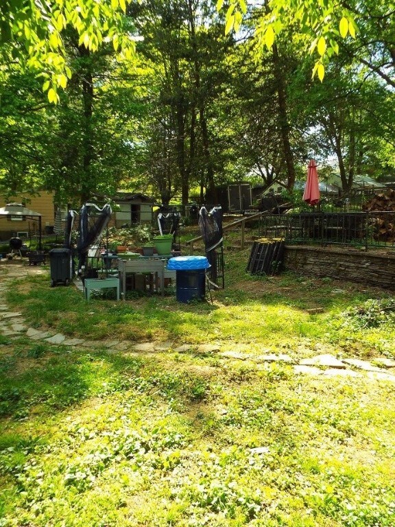 part of back yard