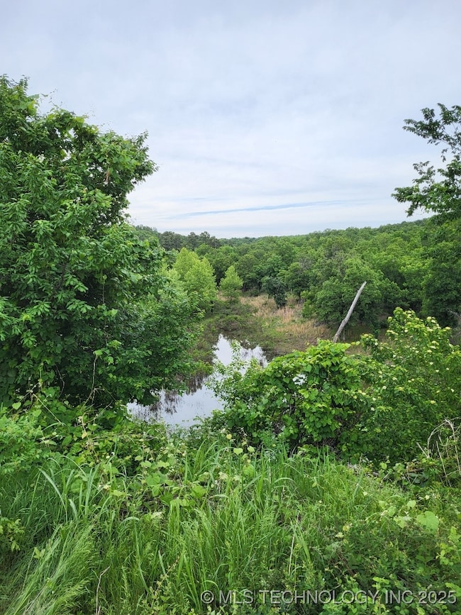 0000 Oklahoma 20, Skiatook, OK 74070 - photo 4