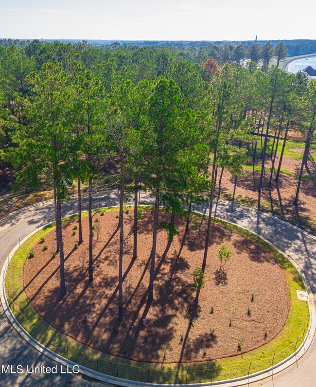 DJI_0438-Enhanced-NR