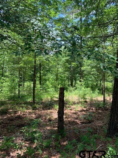 14358 Big Oak Bay Rd, Tyler, TX 75707 - photo 4