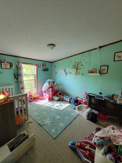 496 230th Ave, Reed City, MI 49677 - photo 7