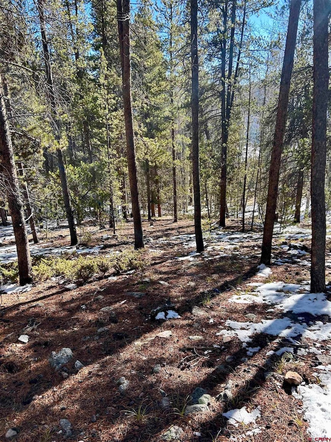 395 Soul's Ease Rd, Pitkin, CO 81241 - photo 5