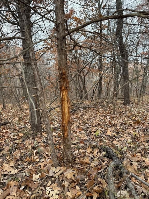 0 Dover Bluff, Waverly, MO 64096 - photo 6