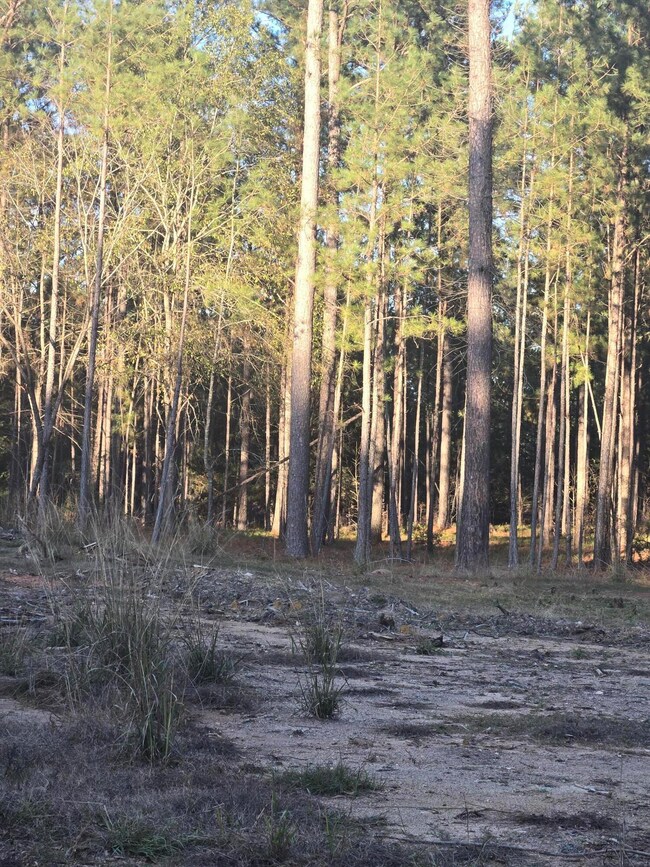 0 Pineridge Dr, Lincolnton, GA 30817 - photo 4