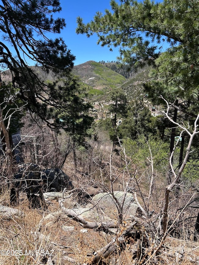 12896 N Ajo Ave unit 6, Mt. Lemmon, AZ 85619 - photo 3