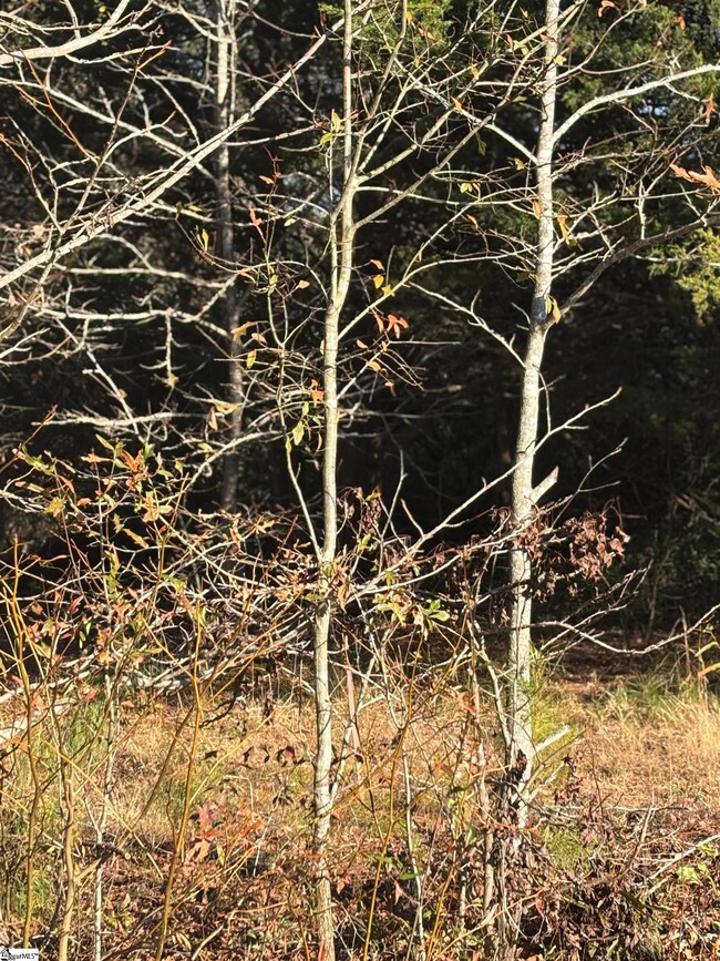 001 Fairground Rd, Simpsonville, SC 29680 - photo 4