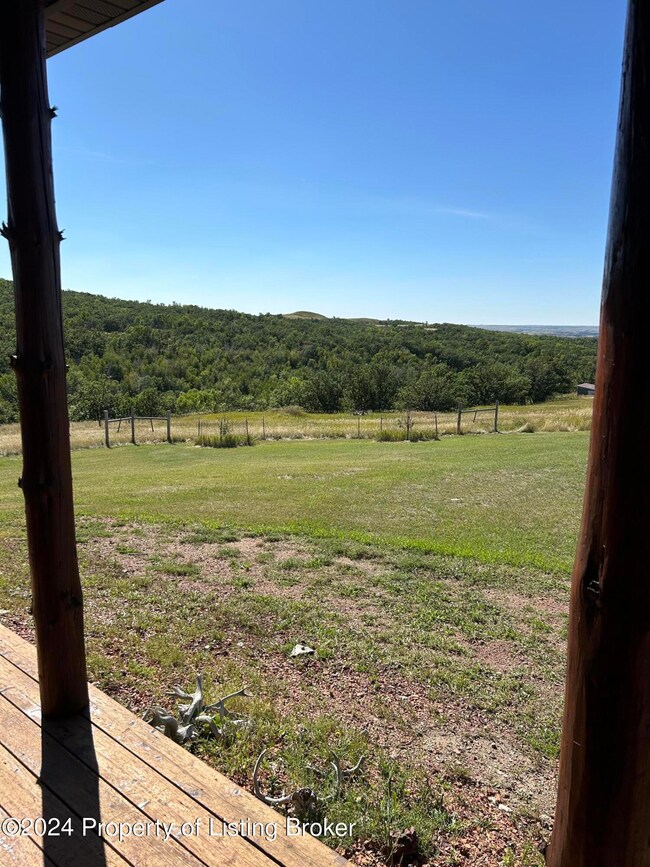 View from front porch