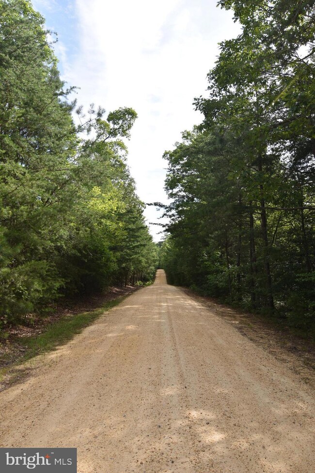 20975 Greenwell Way, Leonardtown, MD 20650 - photo 4