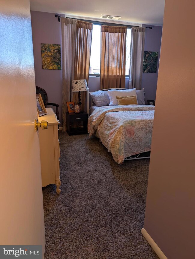 10722 West Dr unit 302, Fairfax, VA 22030 - photo 4