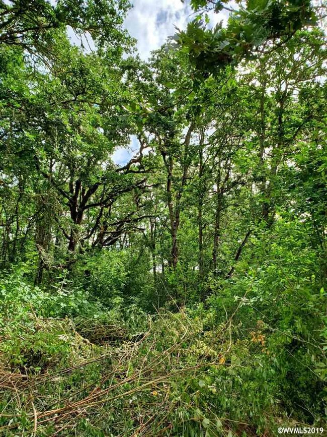 0 NE Kings Valley Hwy unit 751413, Dallas, OR 97338 - photo 4