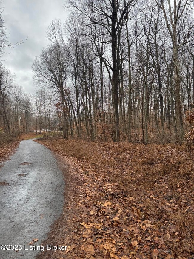 Lot 1 Vinson Rd, Brandenburg, KY 40108 - photo 5