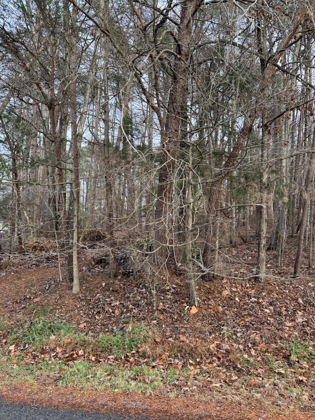 Lot 5 Highland Lake Rd, Union Hall, VA 24176 - photo 6