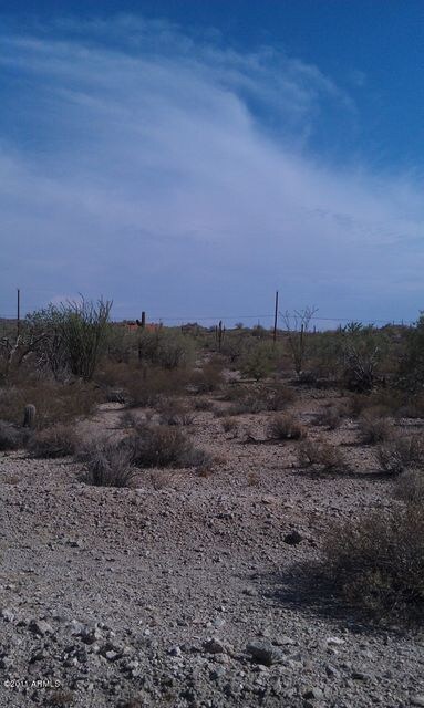 prestine desert