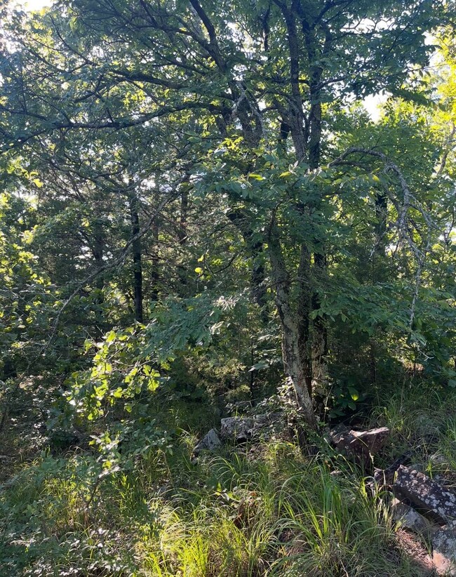 Tract 9B SE 1083 Road Ave, Red Oak, OK 74563 - photo 7