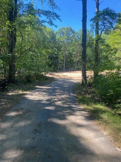 14940 Kelly St, Spring Lake, MI 49456 - photo 4