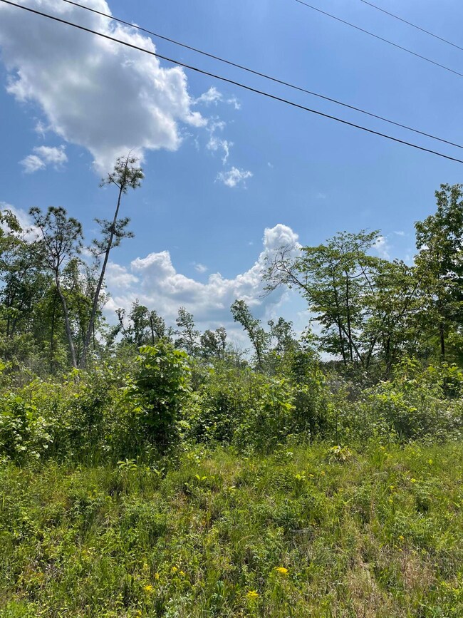 Lot 9 Ellis Cir, Chatsworth, GA 30705 - photo 4