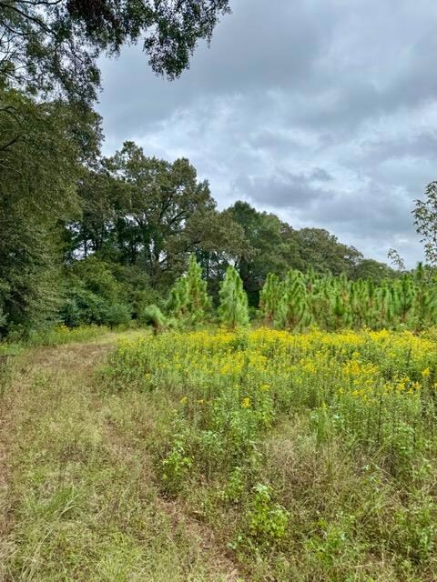 11009 E State Highway 52, Webb, GA 30376 - photo 5