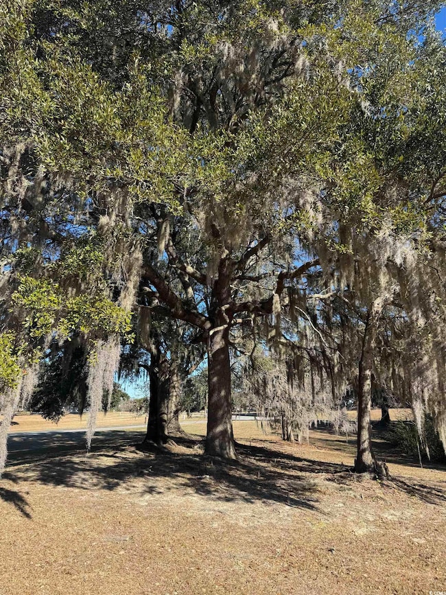 437 Rosebank Rd unit Lot 108, Georgetown, SC 29440 - photo 2