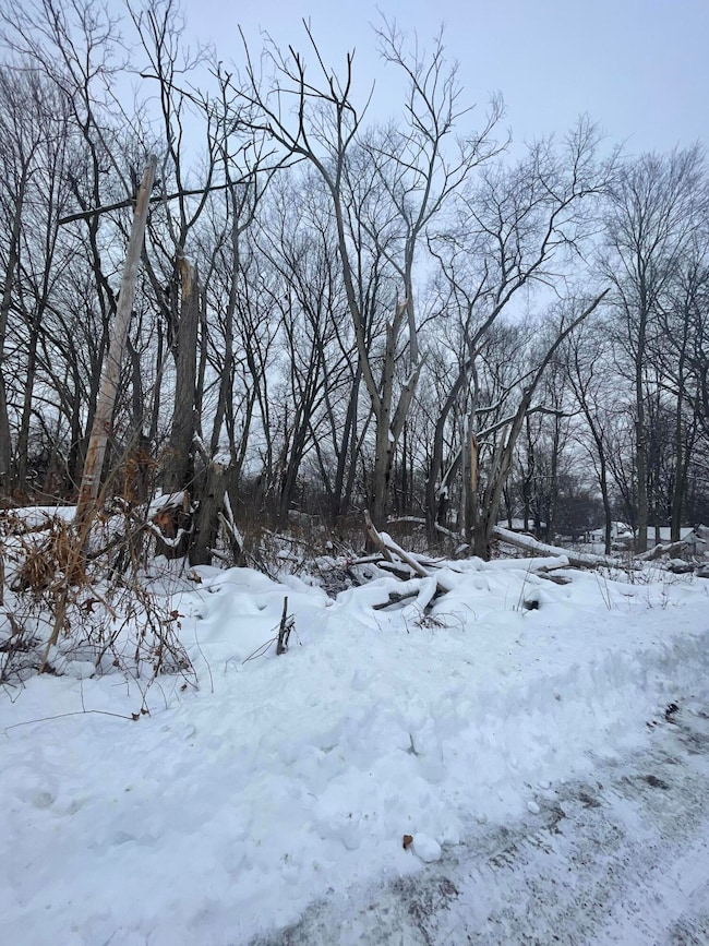 0 V L 13th and Cypress Ct, Three Rivers, MI 49093 - photo 3