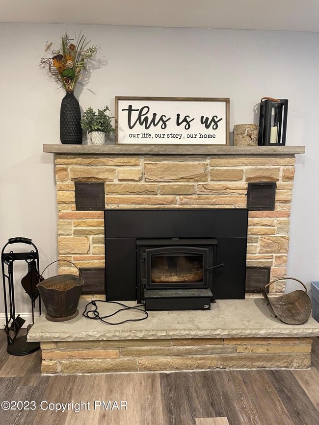 Wood Burning Insert