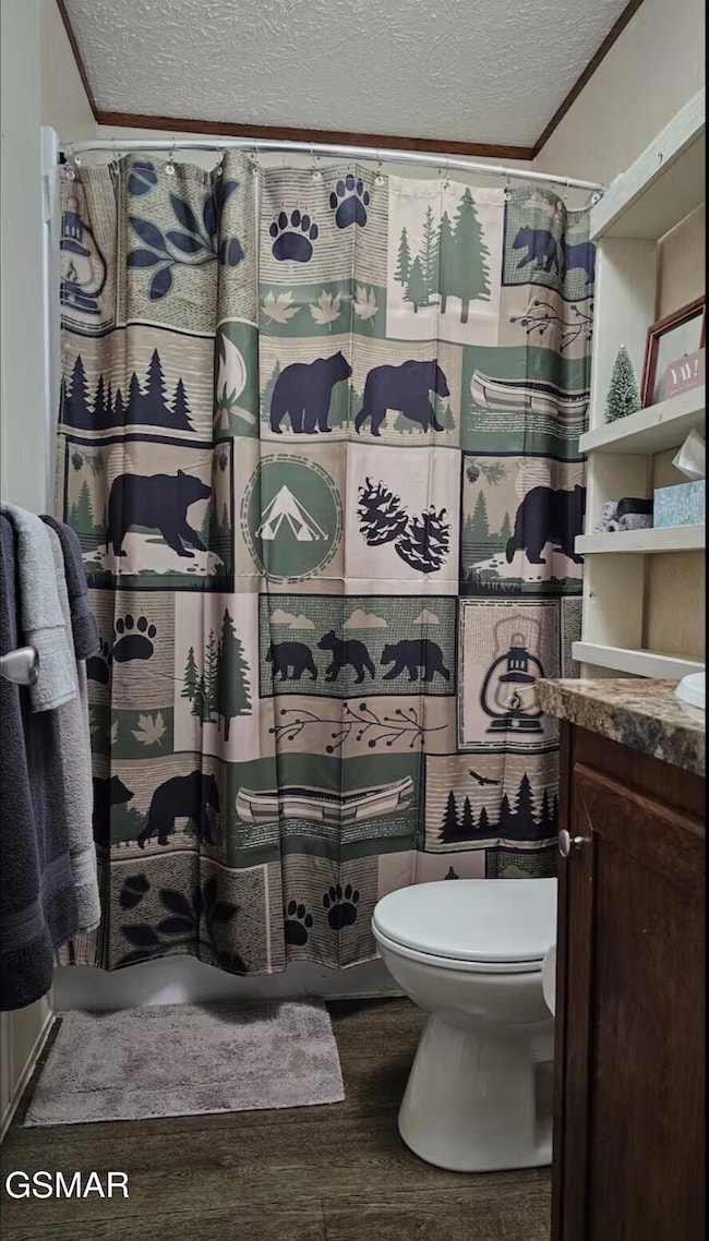 1420 Russell Hollow Rd, Sevierville, TN 37876 - photo 6