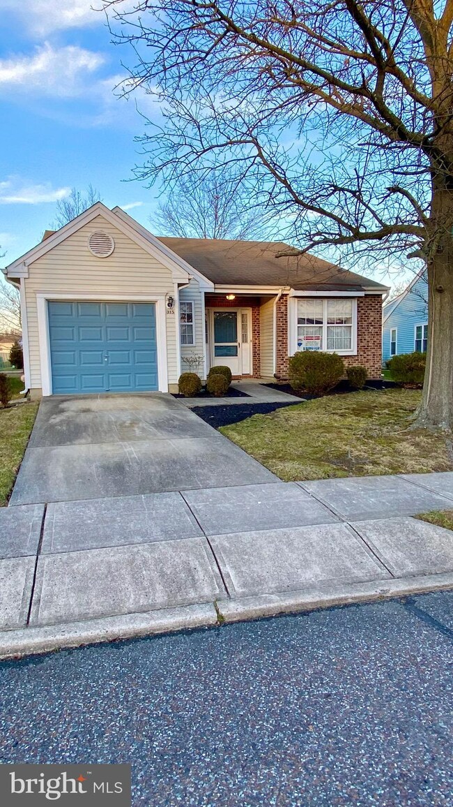 315 Moonseed Place, Mount Laurel, NJ 08054 - photo 4