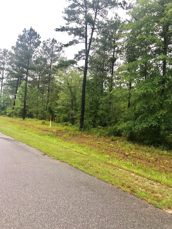 0 Okmulgee Trail unit 25889, Dublin, GA 31021 - photo 2