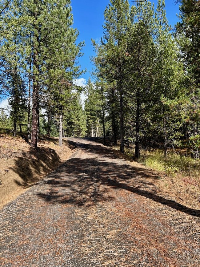 50 Sawtooth Loop unit Lot 30, Cascade, ID 83611 - photo 2
