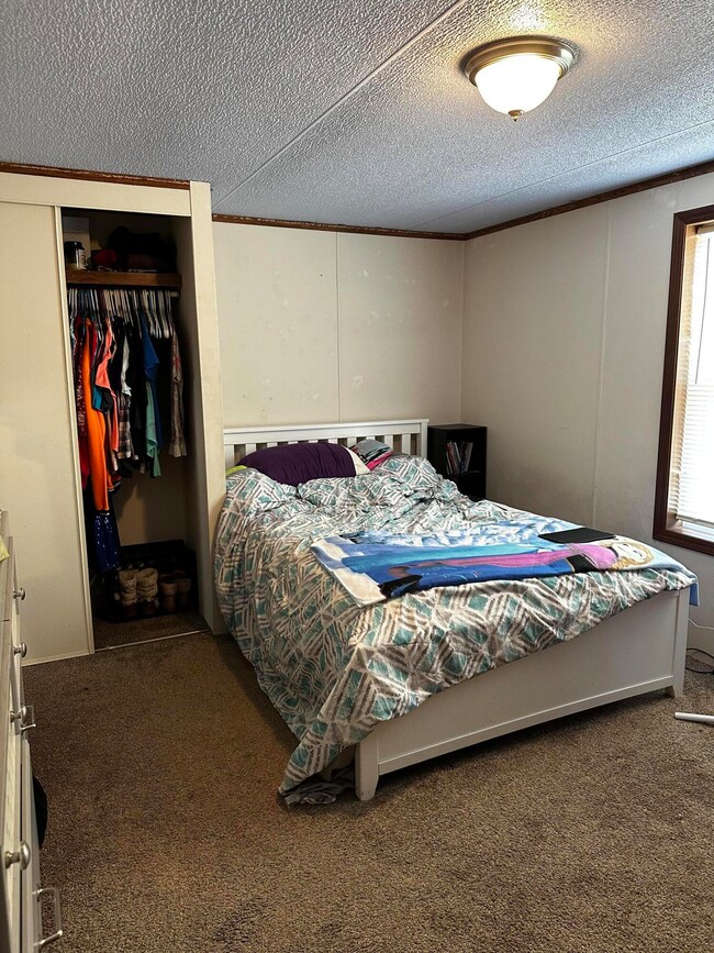 4296 Birmingham Ave, Wayland, MI 49348 - photo 6