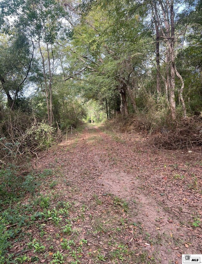 0 Old Snipe Rd, Ruston, LA 71270 - photo 3