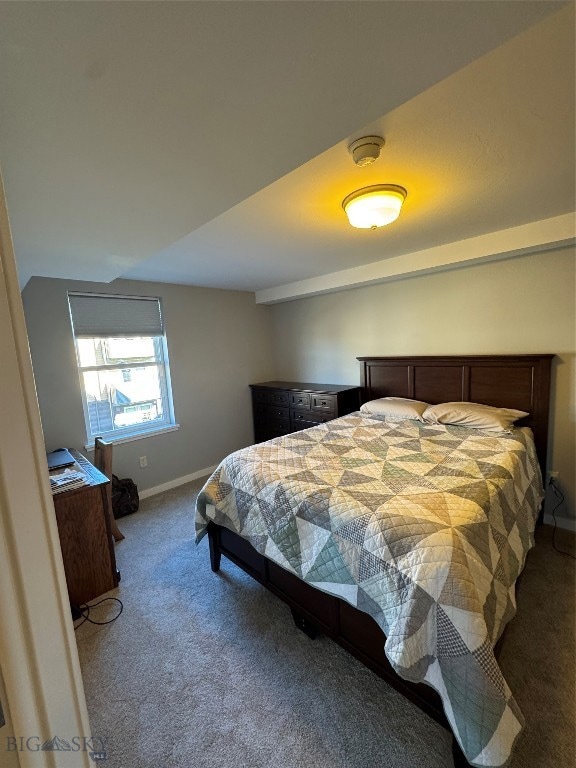 228 S Cottonwood Rd unit 201, Bozeman, MT 59718 - photo 3