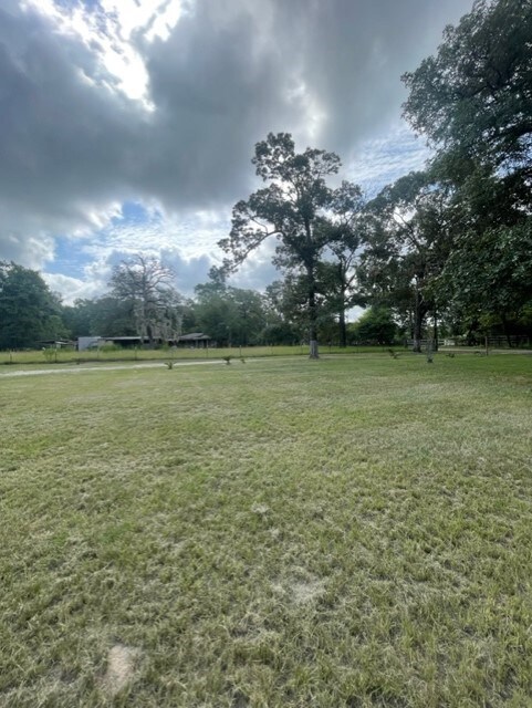 9110 Pine Ln, Magnolia, TX 77354 - photo 5