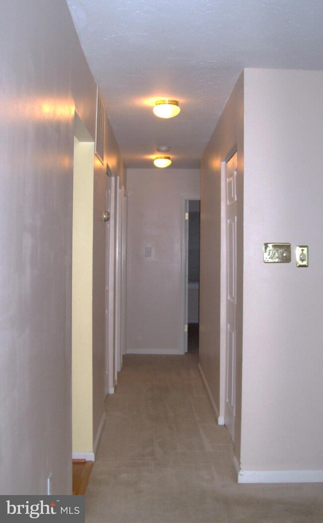 3505 Waverly Dr, Fredericksburg, VA 22407 - photo 4