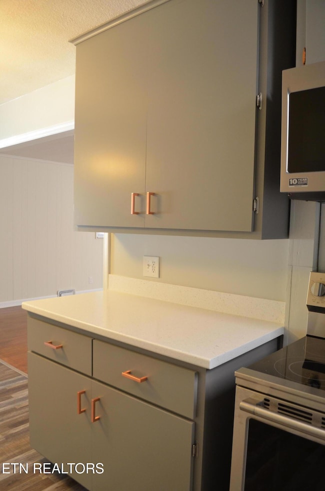 106 Cedar Ln, Oak Ridge, TN 37830 - photo 6