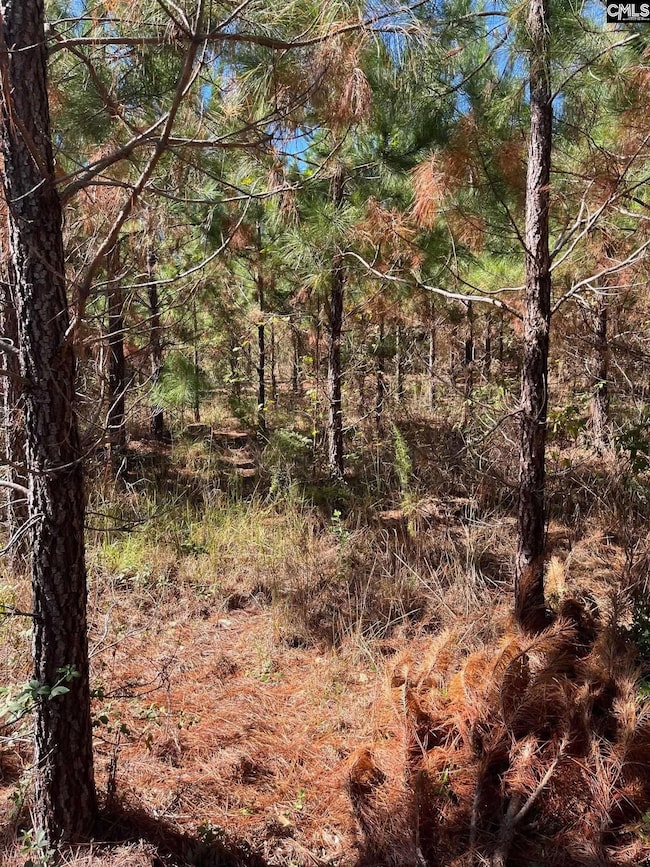 Bff 1e Brunson Teal Rd unit Bff 1e, Patrick, SC 29584 - photo 5