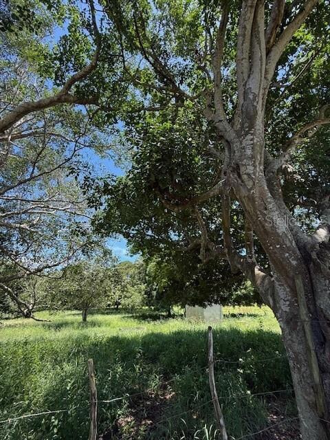 0 unit MFRPR9117243, Cabo Rojo, PR 00623 - photo 6