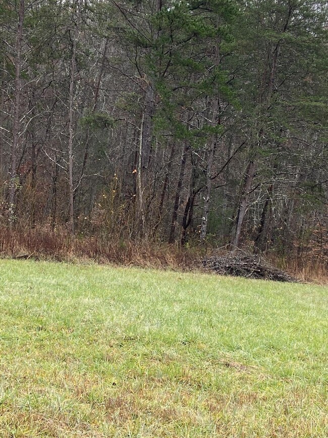 17 ac. Old Chilhowee Rd7 MLS1136250