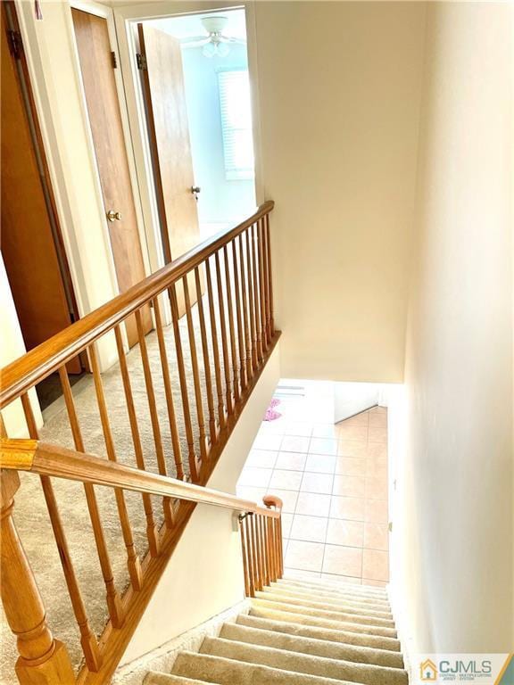 172 Roosevelt Ave unit E, Carteret, NJ 07008 - photo 7