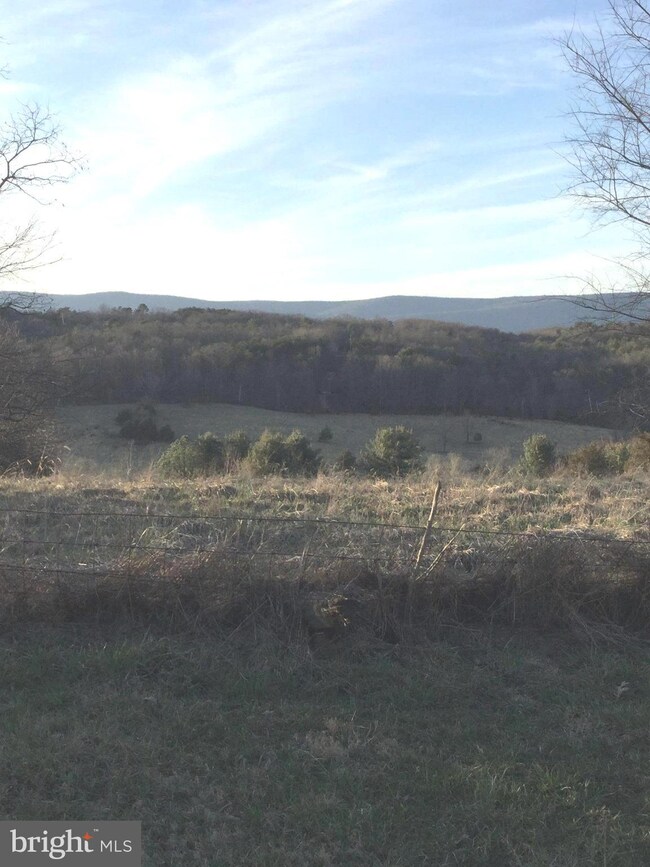 14417 Senedo Rd, Mount Jackson, VA 22842 - photo 5