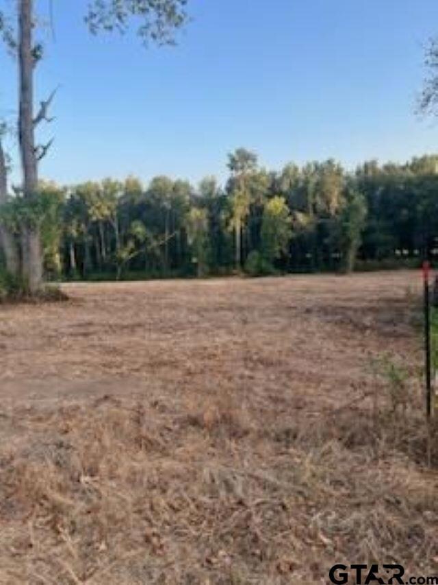 11532 County Road 219, Tyler, TX 75707 - photo 7