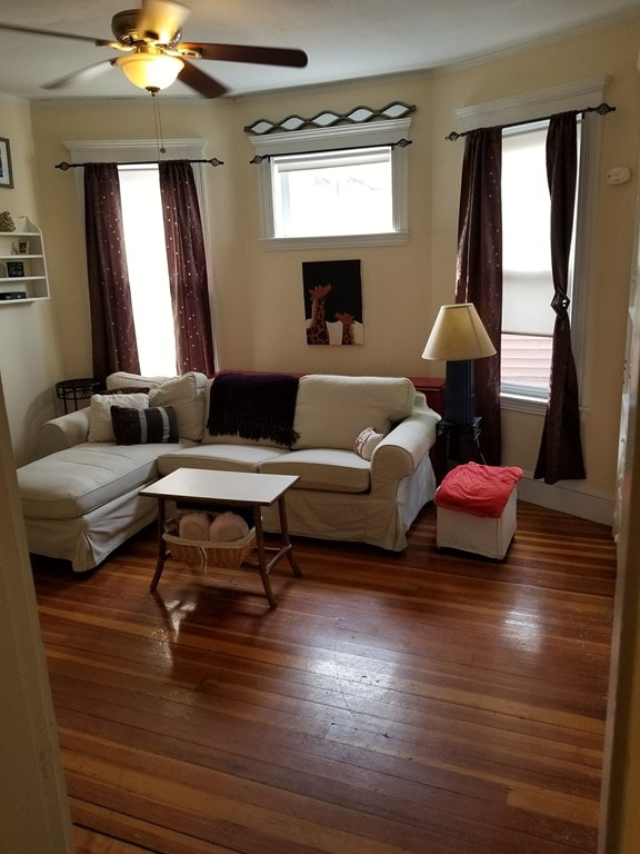 10 Shepton St, Dorchester Center, MA 02124 - photo 7