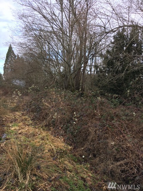 27505 Woodland Rd, Stanwood, WA 98292 - photo 2