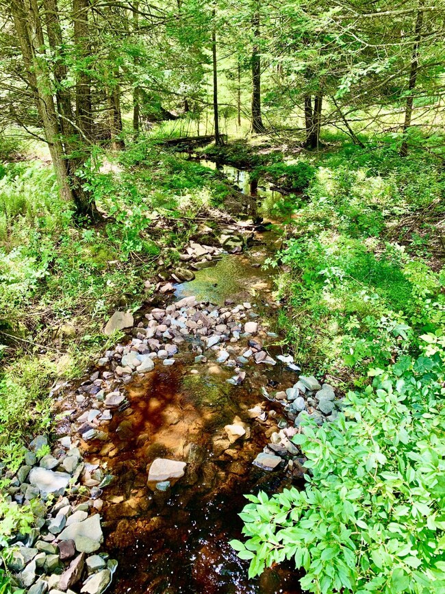 7 Billard Rd, Hawley, PA 18428 - photo 5